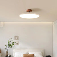 Ceiling Light Adjustable LED with Circular Shade | Drifto