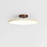 Ceiling Light Adjustable LED with Circular Shade | Drifto