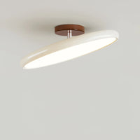 Ceiling Light Adjustable LED with Circular Shade | Drifto