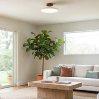 Ceiling Light Adjustable LED with Circular Shade | Drifto