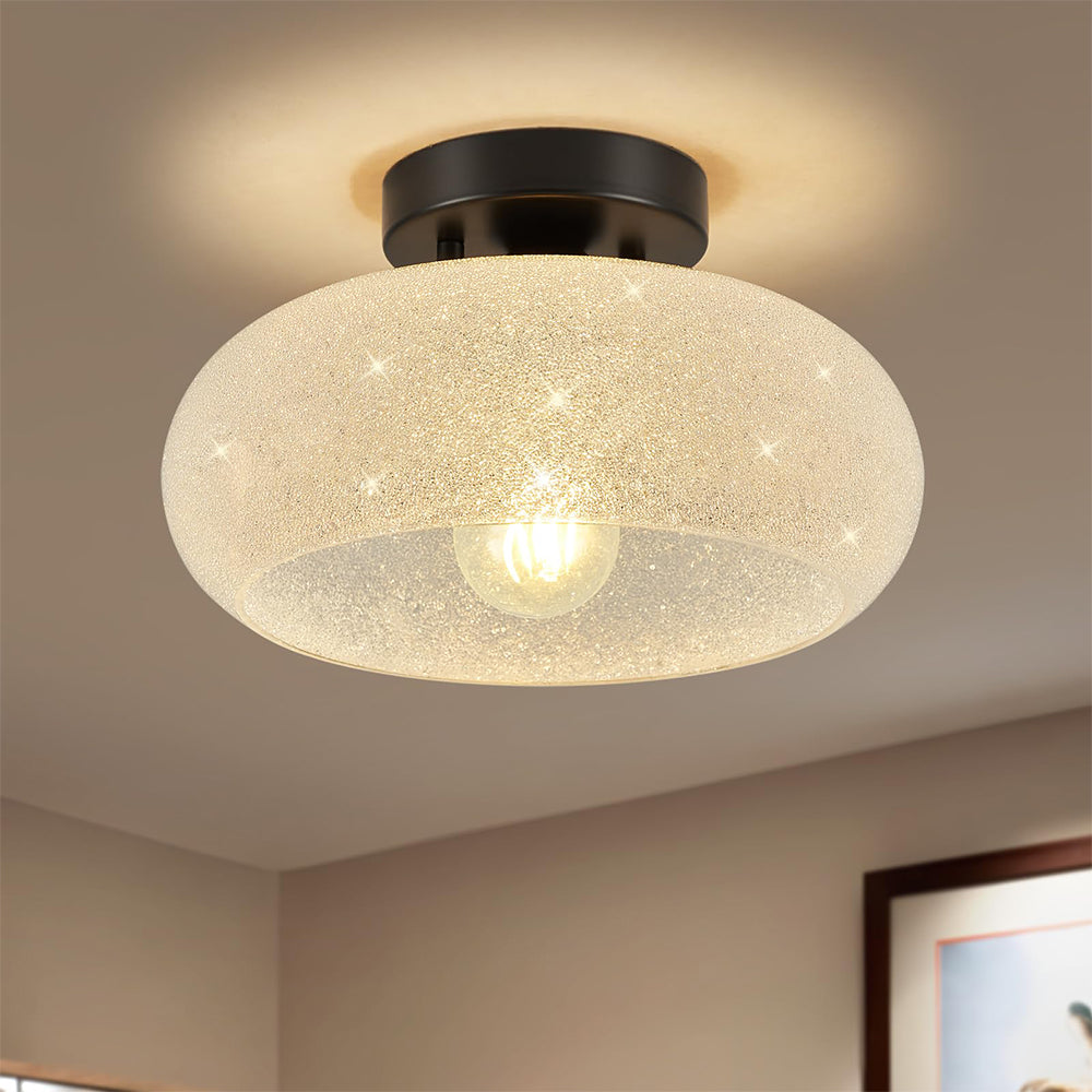 Ceiling Light Glass Dome in Modern Style | Lurvian