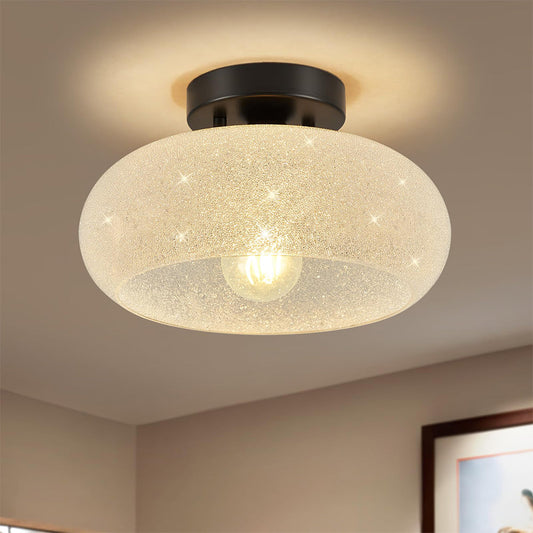 Ceiling Light Glass Dome in Modern Style | Lurvian