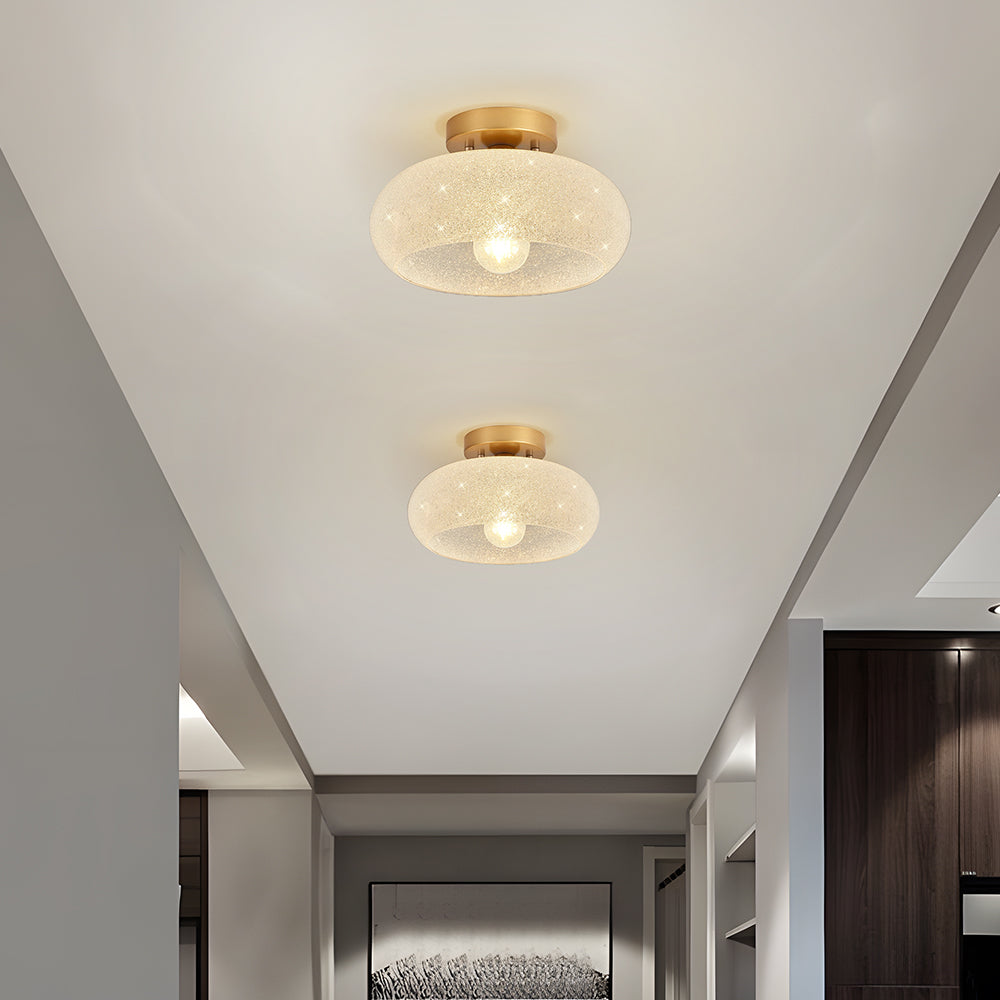 Ceiling Light Glass Dome in Modern Style | Lurvian