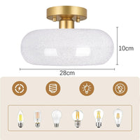 Ceiling Light Glass Dome in Modern Style | Lurvian