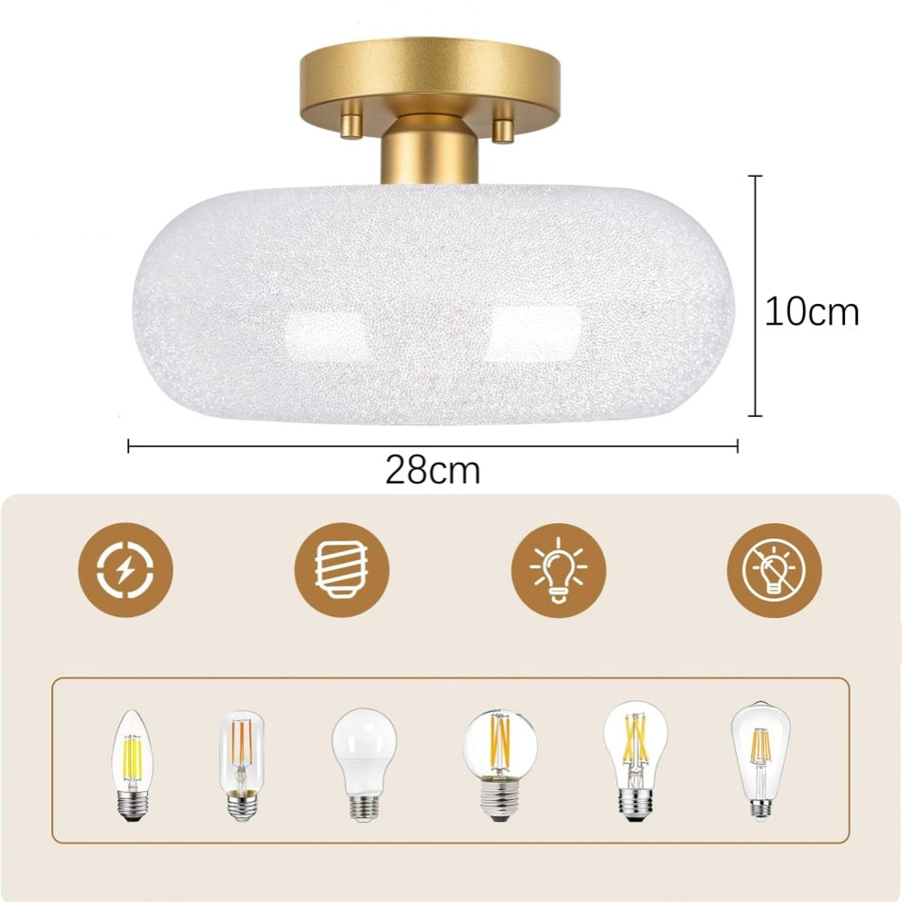 Ceiling Light Glass Dome in Modern Style | Lurvian