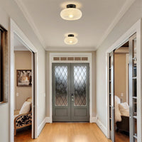 Ceiling Light Glass Dome in Modern Style | Lurvian