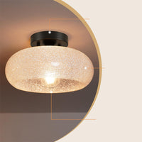Ceiling Light Glass Dome in Modern Style | Lurvian