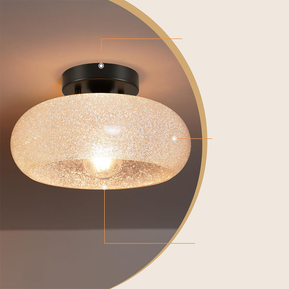 Ceiling Light Glass Dome in Modern Style | Lurvian