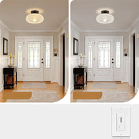 Ceiling Light Glass Dome in Modern Style | Lurvian