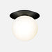 Ceiling Light Glass Globe Surface Mounted Modern Interior | Glavon