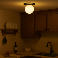Ceiling Light Glass Sphere Modern LED Design | Porvella