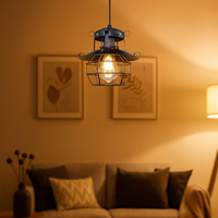 Ceiling Light Iron Industrial Vintage Design | Dinoro