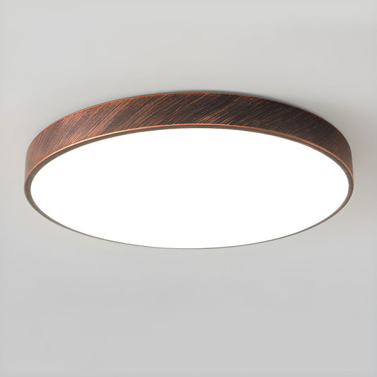 Ceiling Light LED Flush Mount Metal in Modern Style | Arcira