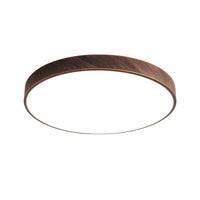 Ceiling Light LED Flush Mount Metal in Modern Style | Arcira
