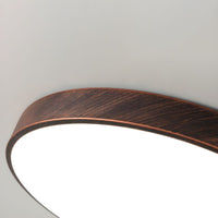 Ceiling Light LED Flush Mount Metal in Modern Style | Arcira