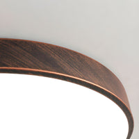 Ceiling Light LED Flush Mount Metal in Modern Style | Arcira