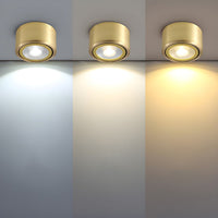 Ceiling Light LED Flush Mount Modern Gold | Calora