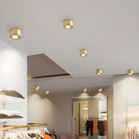 Ceiling Light LED Flush Mount Modern Gold | Calora