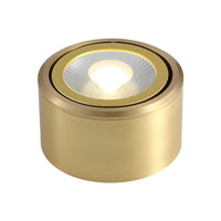 Ceiling Light LED Flush Mount Modern Gold | Calora