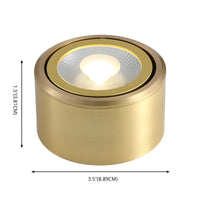 Ceiling Light LED Flush Mount Modern Gold | Calora
