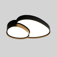 Ceiling Light LED Metal in Scandinavian Style | Warven