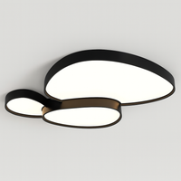Ceiling Light LED Metal in Scandinavian Style | Warven