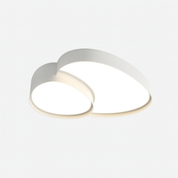 Ceiling Light LED Metal in Scandinavian Style | Warven