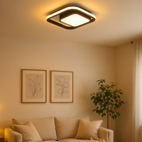 Ceiling Light LED Square Ring in Modern Style | Nalviro
