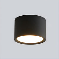 Ceiling Light Metal Cylinder in Nordic Style | Zymera