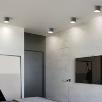 Ceiling Light Metal Cylinder in Nordic Style | Zymera