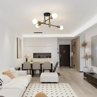 Ceiling Light Metal Frame in Nordic Style | Norvilo