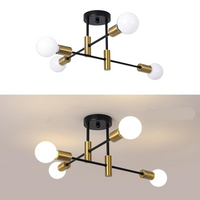 Ceiling Light Metal Frame in Nordic Style | Norvilo