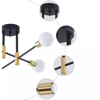 Ceiling Light Metal Frame in Nordic Style | Norvilo