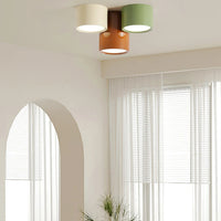 Ceiling Light Metal LED Minimalist Indoor Lighting | Ashorio