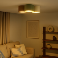 Ceiling Light Metal LED Minimalist Indoor Lighting | Ashorio