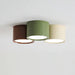 Ceiling Light Metal LED Minimalist Indoor Lighting | Ashorio
