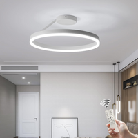 Ceiling Light Metal LED in Nordic Minimal Style | Sorali