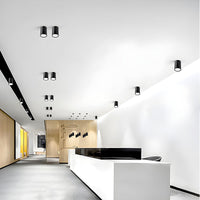 Ceiling Light Metal LED in Nordic Style | Cylora