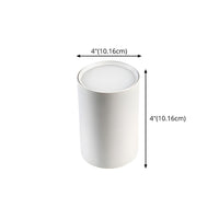 Ceiling Light Metal LED in Nordic Style | Cylora