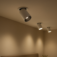 Ceiling Light Metal Nordic Design Adjustable | Duvano