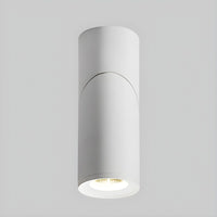 Ceiling Light Nordic Aluminum Cylinder Flush Mount | Alvoro