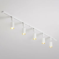 Ceiling Light Tubular LED Metal Nordic Semi Flush Mount | Nordiqo