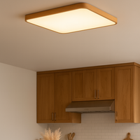Ceiling Light Wood Frame Modern Look | Rivelo