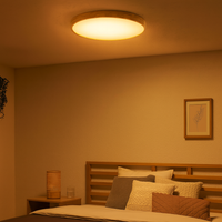 Ceiling Light Wood LED in Scandinavian Style | Nerila