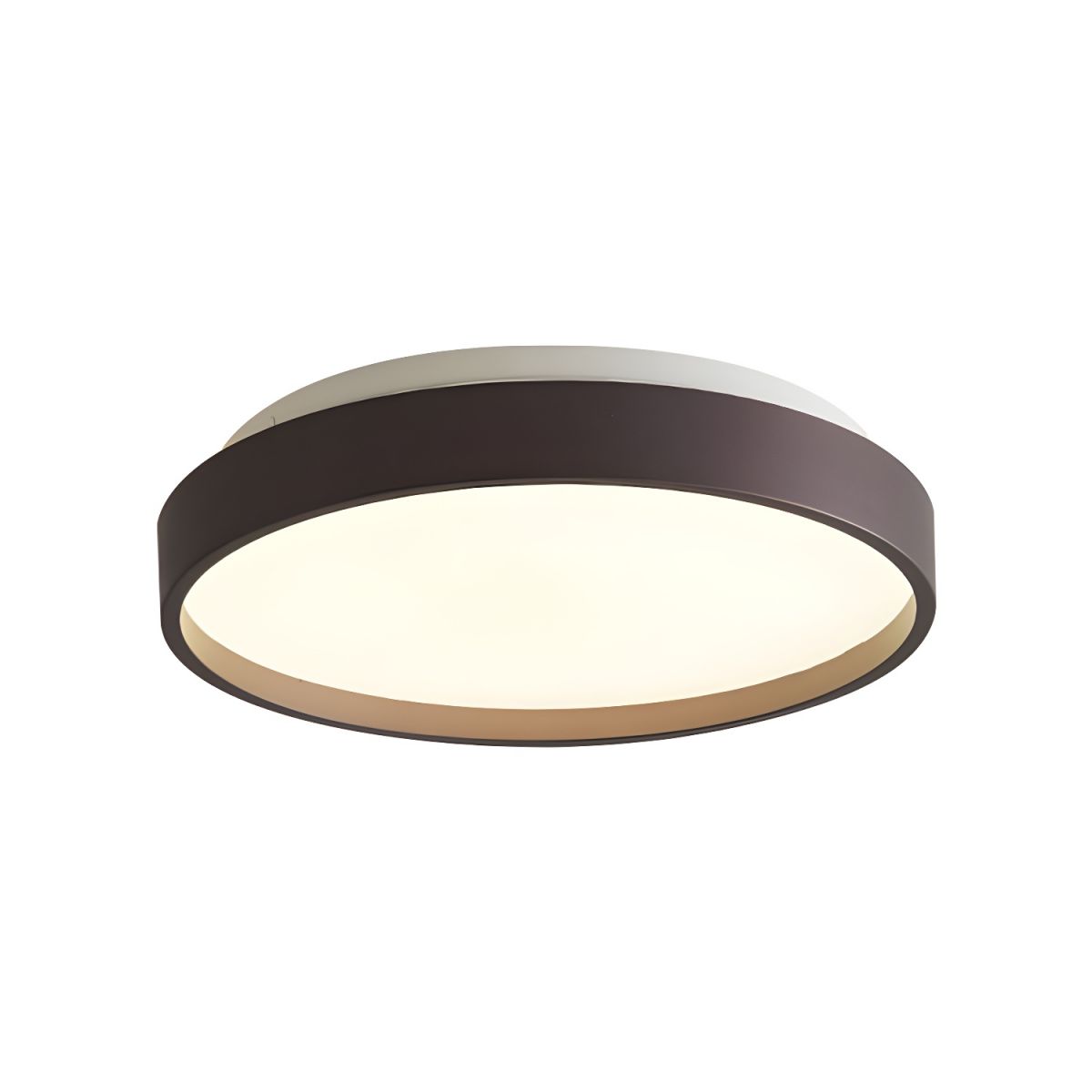 Ceiling Light with Acrylic Shade Modern Design | Avirno