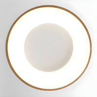 Ceiling Light with Dimmable LED Modern Acrylic Shade | Navori