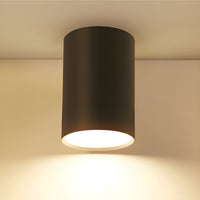 Ceiling Light with LED Cylinder Modern Style | Alurim