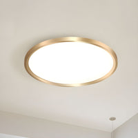 Ceiling Light with LED Metal Modern Flush Mount | Arelis