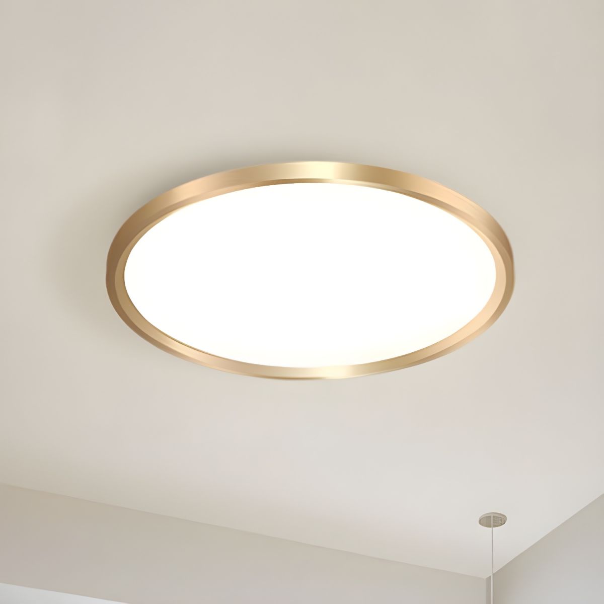 Ceiling Light with LED Metal Modern Flush Mount | Arelis