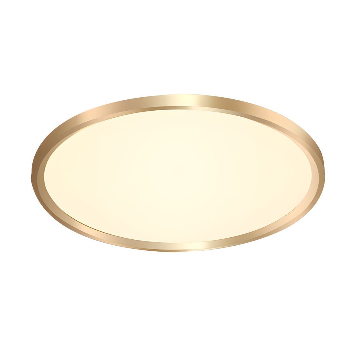 Ceiling Light with LED Metal Modern Flush Mount | Arelis